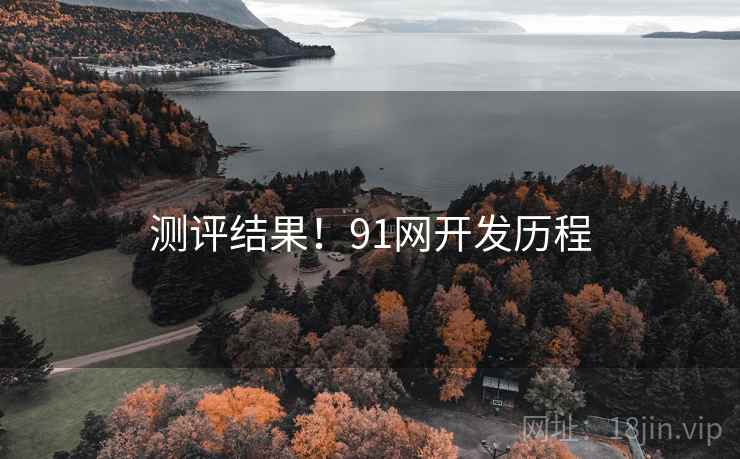 测评结果！91网开发历程