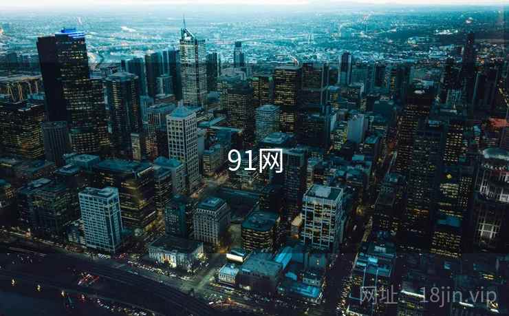91网