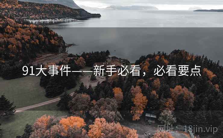 91大事件——新手必看，必看要点