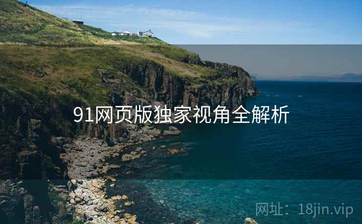 91网页版独家视角全解析