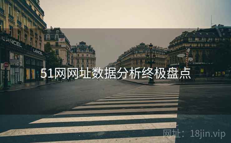 51网网址数据分析终极盘点