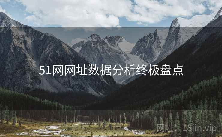 51网网址数据分析终极盘点