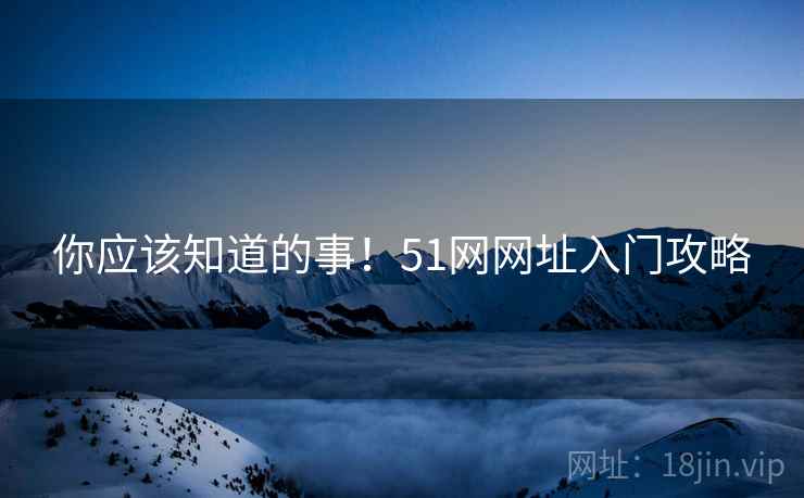 你应该知道的事！51网网址入门攻略