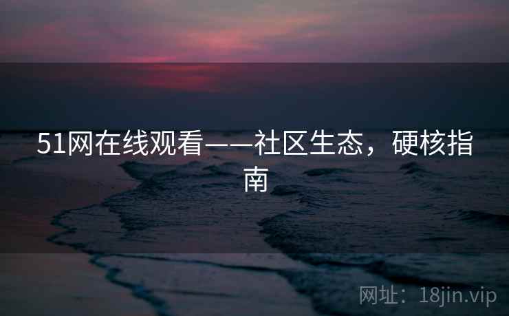 51网在线观看——社区生态，硬核指南