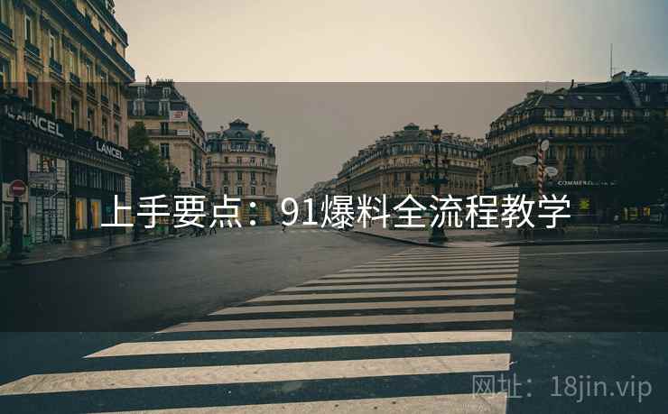 上手要点：91爆料全流程教学