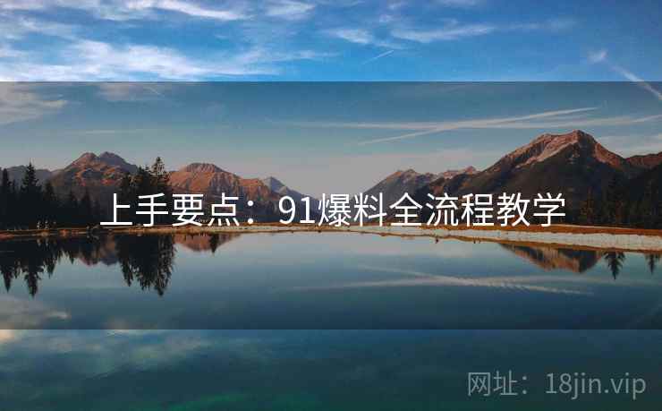 上手要点：91爆料全流程教学