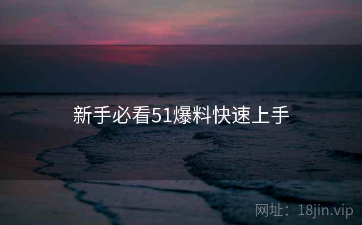 新手必看51爆料快速上手