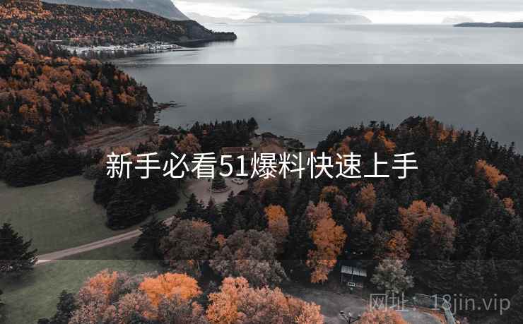新手必看51爆料快速上手