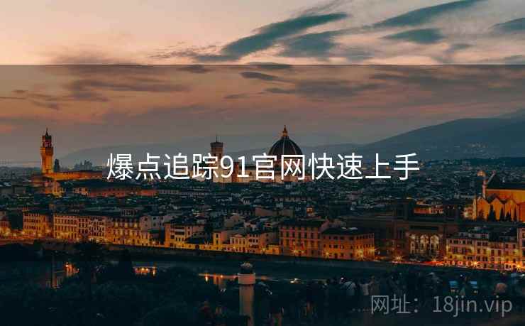 爆点追踪91官网快速上手