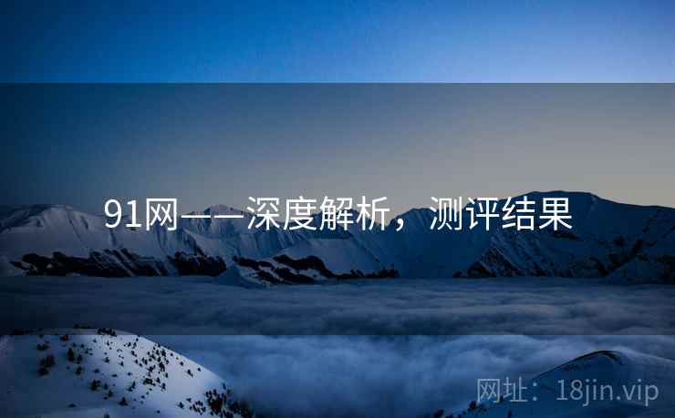 91网——深度解析，测评结果