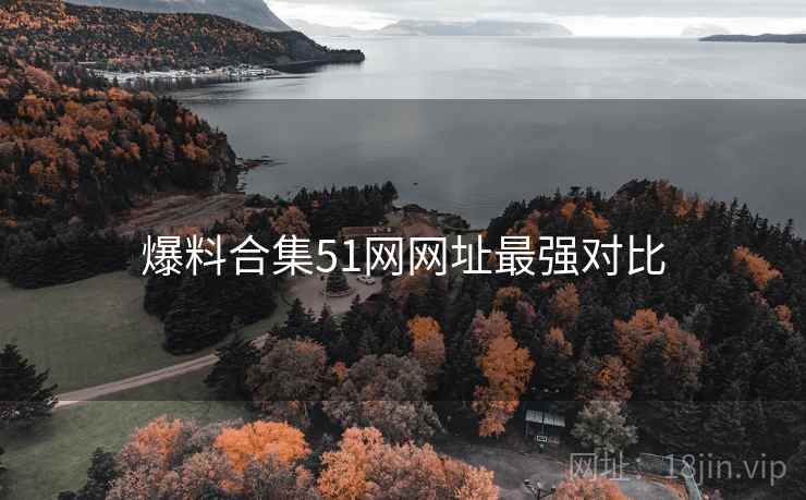 爆料合集51网网址最强对比