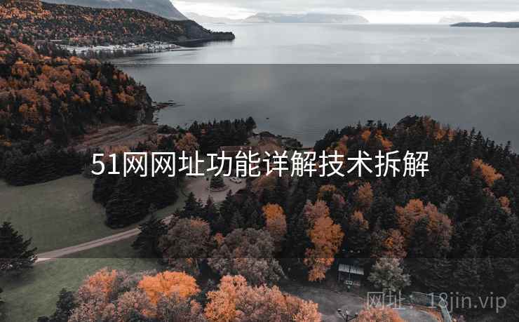 51网网址功能详解技术拆解