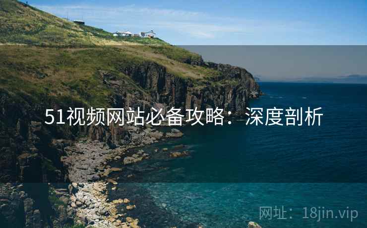 51视频网站必备攻略：深度剖析