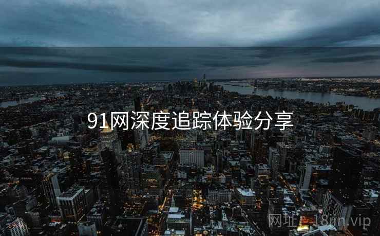 91网深度追踪体验分享
