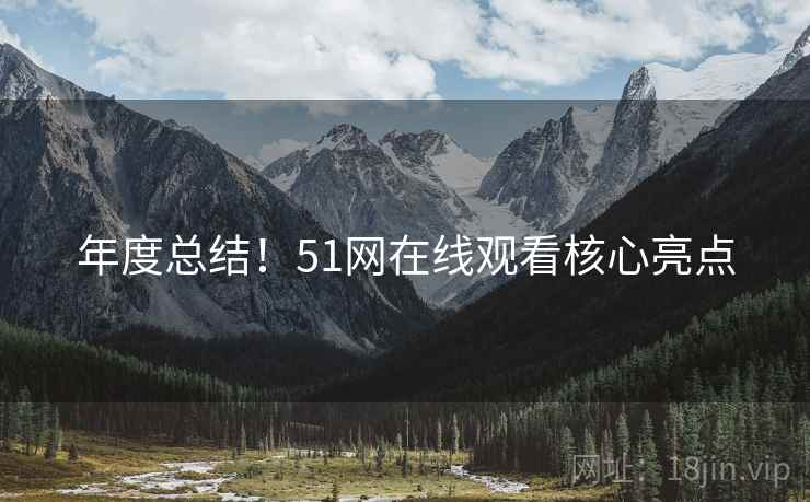 年度总结！51网在线观看核心亮点